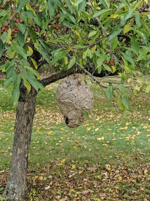Eastern Pest Management Picture 3