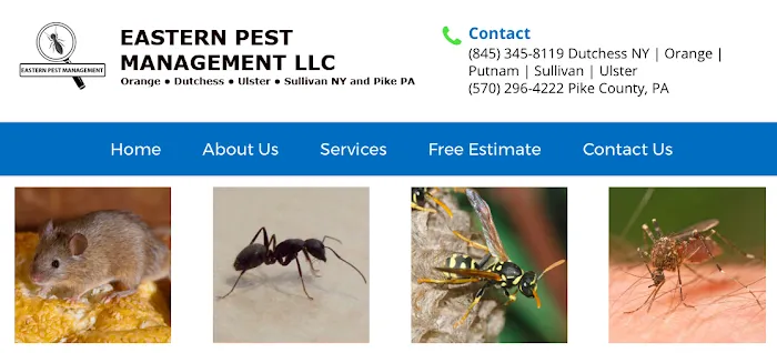 Eastern Pest Management Picture 1
