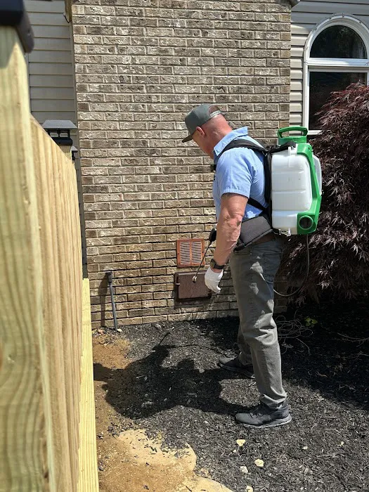 Mrs. Bzzz Pest & Termite Solutions Picture 10