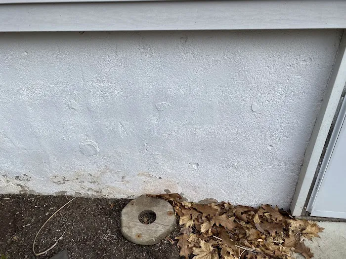 Mrs. Bzzz Pest & Termite Solutions Picture 2