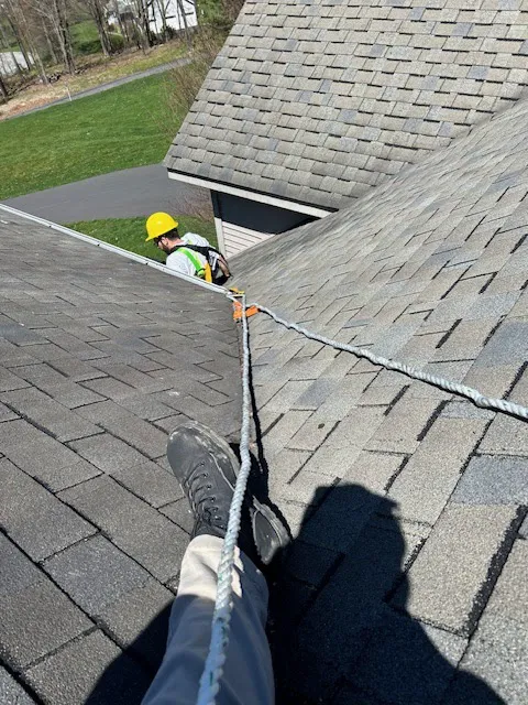 United States Pest Service, LLC Picture 3