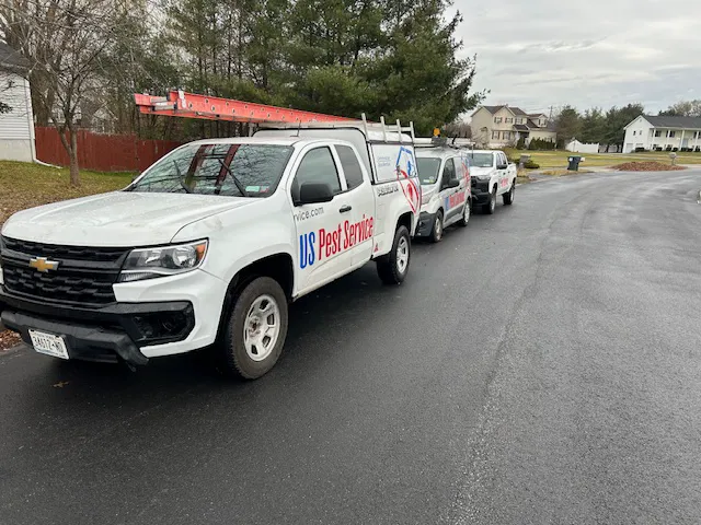 United States Pest Service, LLC Picture 2