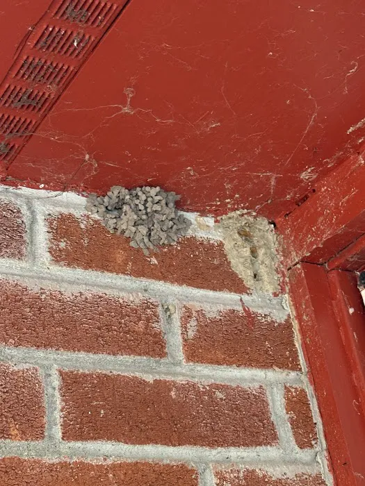 United States Pest Service, LLC Picture 5