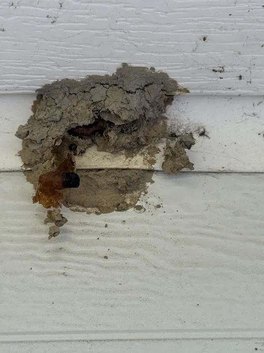 United States Pest Service, LLC Picture 6