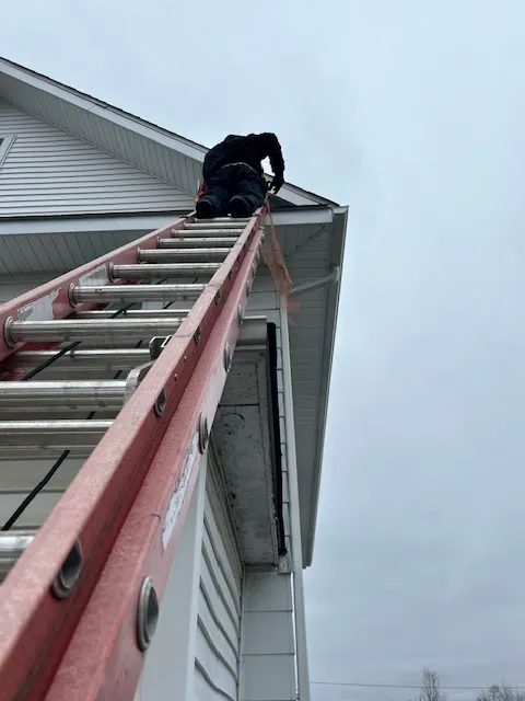 United States Pest Service, LLC Picture 8
