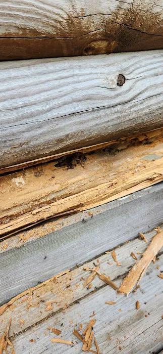 Ehrlich Pest Control Picture 6