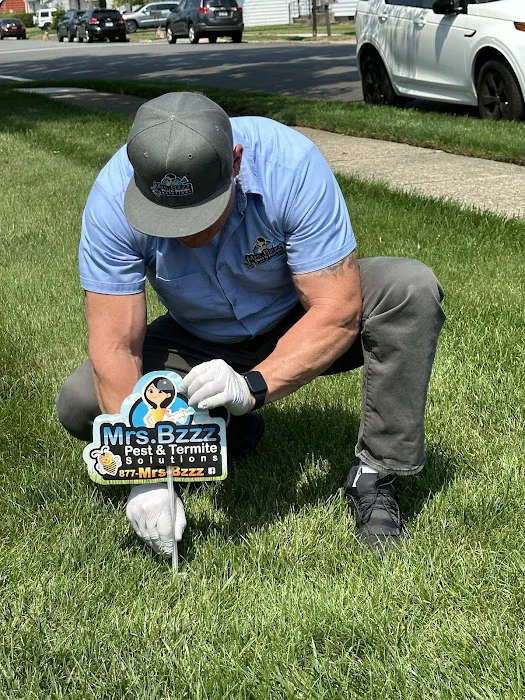 Mrs. Bzzz Pest & Termite Solutions - Stroudsburg Picture 6