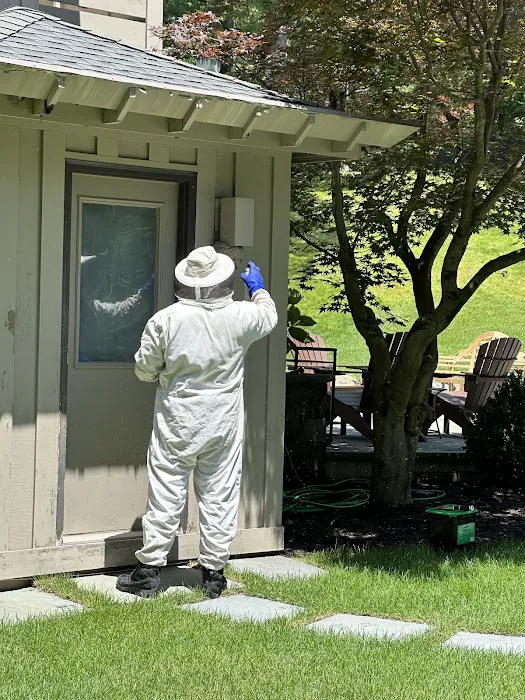 Mrs. Bzzz Pest & Termite Solutions - Stroudsburg Picture 8