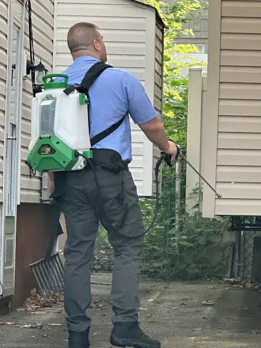 Mrs. Bzzz Pest & Termite Solutions - Stroudsburg Picture 9