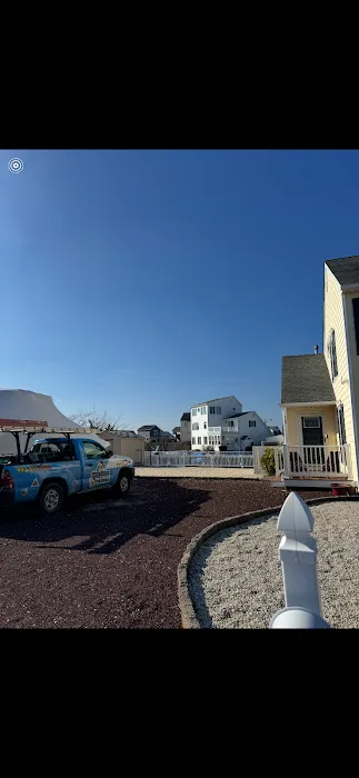 Mrs. Bzzz Pest & Termite Solutions - Stroudsburg Picture 1
