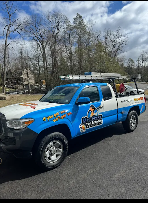 Mrs. Bzzz Pest & Termite Solutions - Stroudsburg Picture 3