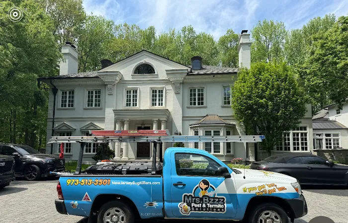 Mrs. Bzzz Pest & Termite Solutions - Stroudsburg Picture 2