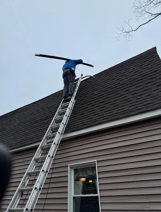 Mrs. Bzzz Pest & Termite Solutions - Stroudsburg Picture 5