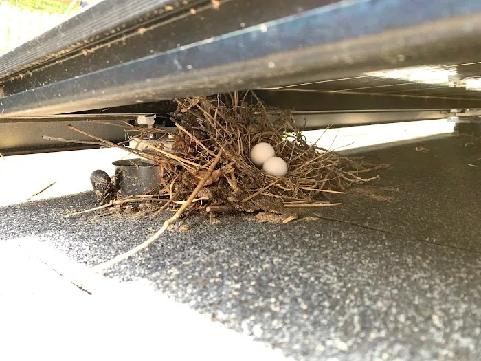 Solar Pest Solutions LLC Picture 5