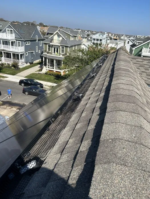 Solar Pest Solutions LLC Picture 4