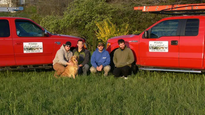 A1 Wildlife Pest Control LLC Picture 1