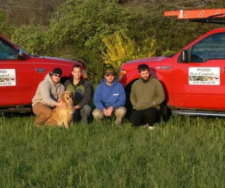 A1 Wildlife Pest Control LLC