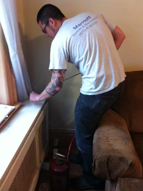 Marriott Termite and Pest Control Picture 5
