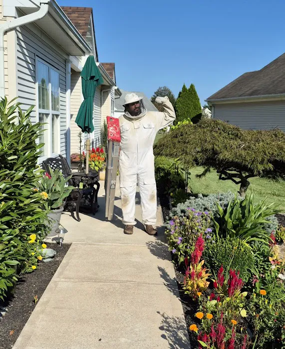 Excel Pest Services Picture 2