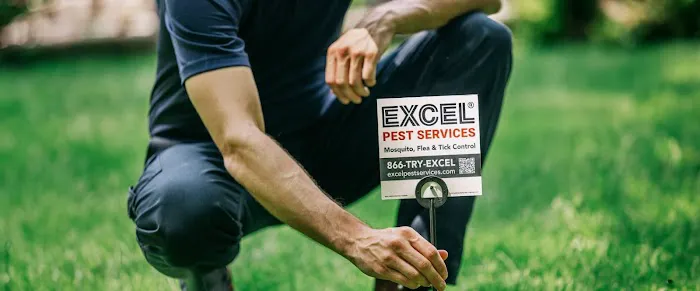 Excel Pest Services Picture 6