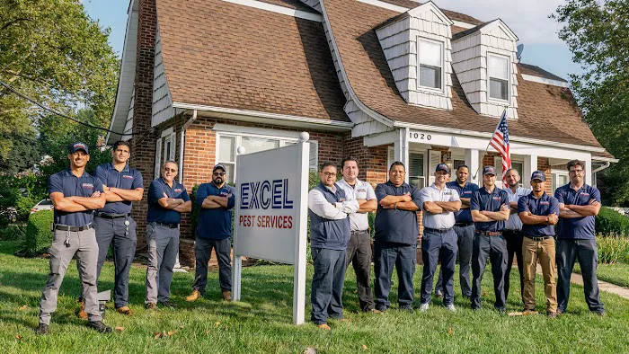 Excel Pest Services Picture 4