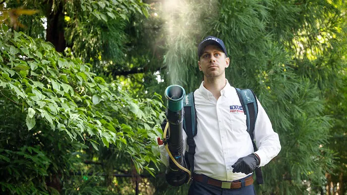 Excel Pest Services Picture 3