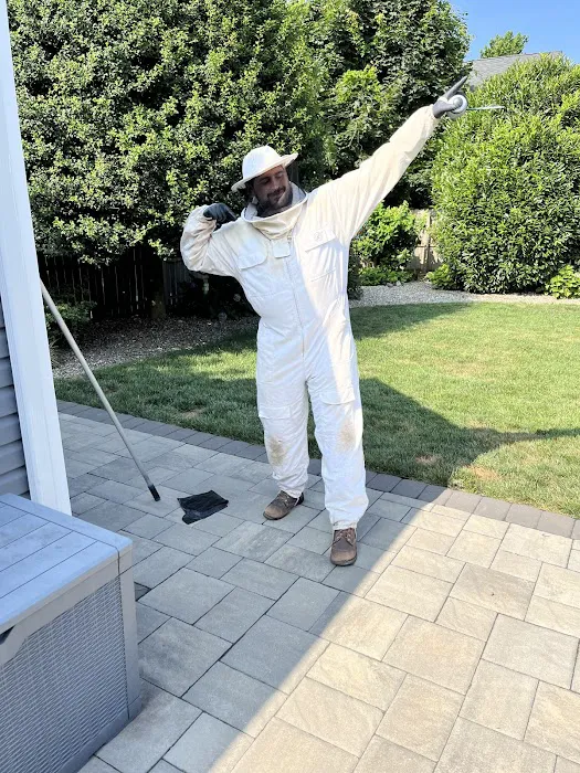 Excel Pest Services Picture 10