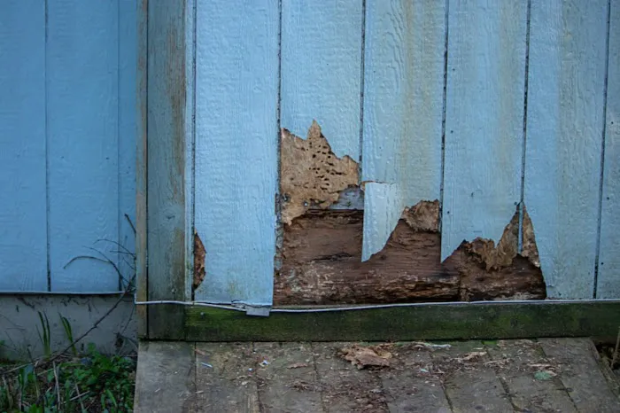 Callahan's Termite & Pest Control Inc Picture 5