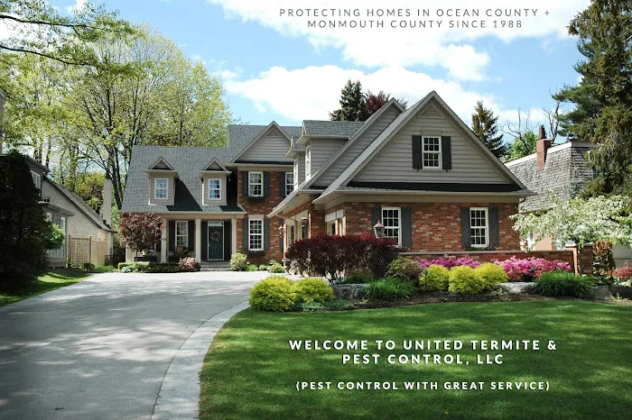 United Termite Picture 4