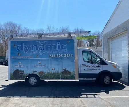 Dynamic Pest Control