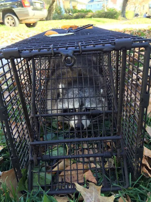 Dynamic Pest Control Picture 2