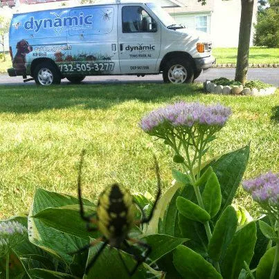 Dynamic Pest Control Picture 3