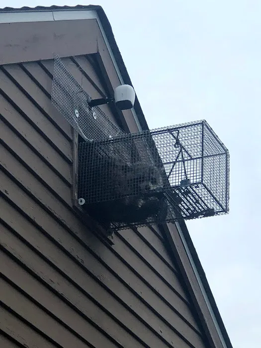 Dynamic Pest Control Picture 10
