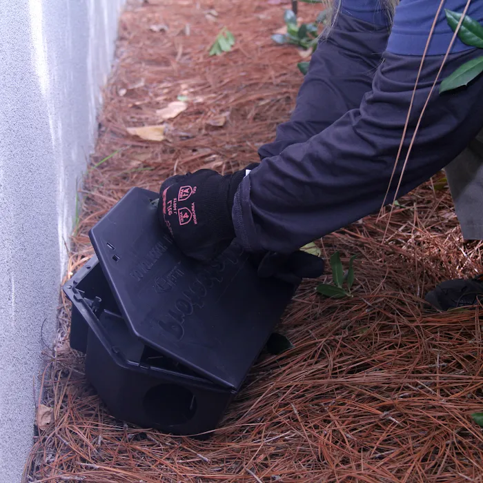 Ozane Termite & Pest Control Picture 1