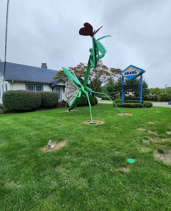 Ozane Termite & Pest Control Picture 7