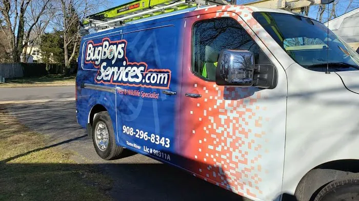 Bug Boys Services Picture 9