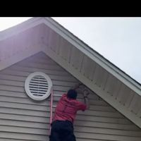 PESTOFF EXTERMINATING INC. ico