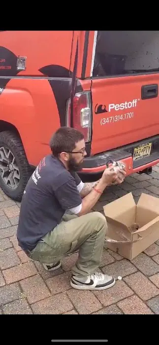 PESTOFF EXTERMINATING INC. Picture 9