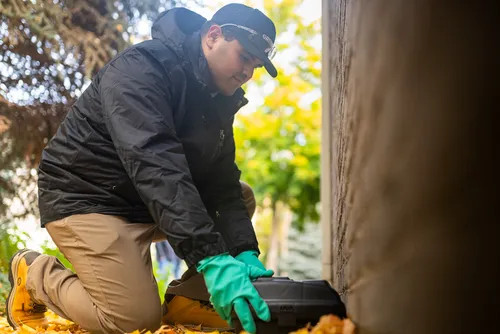 Greenix Pest Control Picture 3