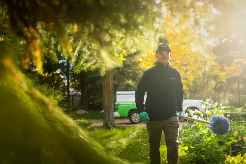 Greenix Pest Control Picture 4