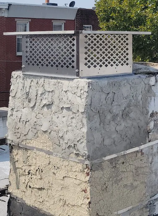 A-Team Wildlife & Pest Solutions Picture 8
