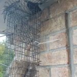 A-Team Wildlife & Pest Solutions