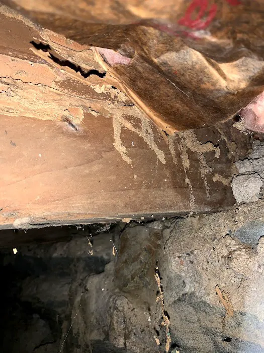 City & Suburbs Pest Control,LLC Picture 6