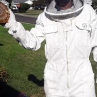 City & Suburbs Pest Control,LLC ico