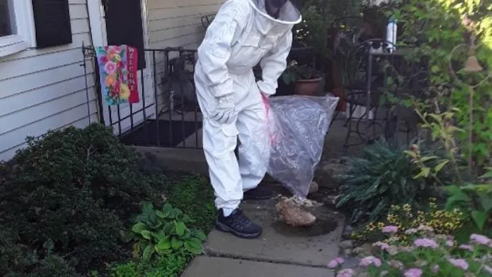 City & Suburbs Pest Control,LLC Picture 8