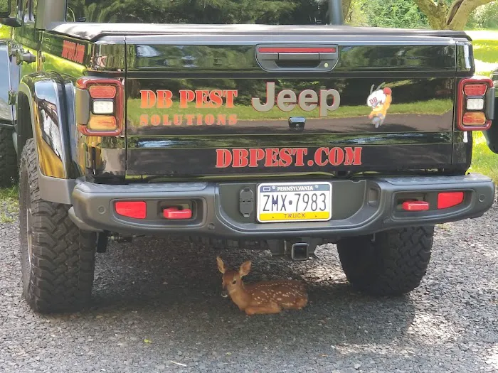 DB Pest Solutions Picture 9