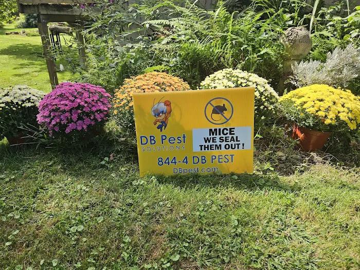 DB Pest Solutions Picture 1