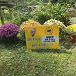 DB Pest Solutions