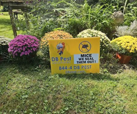 DB Pest Solutions