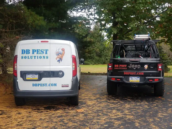 DB Pest Solutions Picture 10